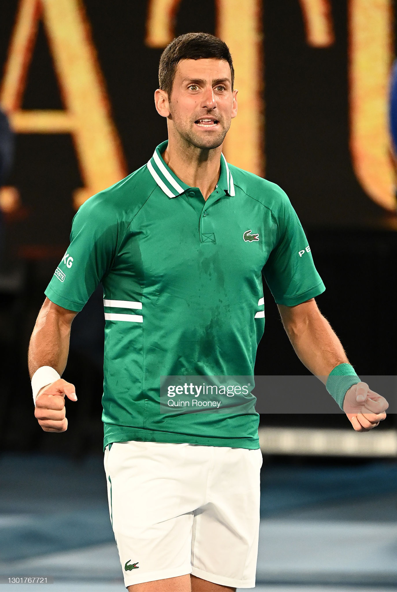 数据模型结 数据模型结